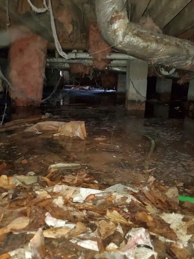 Crawl space flood assessment for Commercial Water Damage Restoration in Fountain Inn